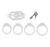 Cage de chasteté Skelly XL 12 x 4cm Blanche Cage de chasteté Skelly XL 12 x 4cm Blanche