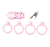 Cage de chasteté Dotty XXL 11 x 4cm Rose