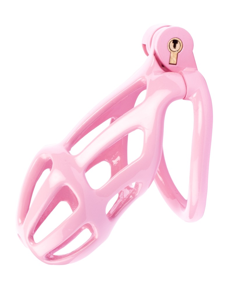 Cage de chasteté Netty L 9.5 x 3.9cm Rose