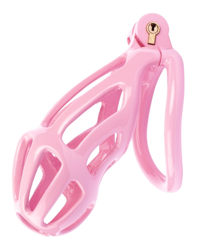 Cage de chasteté Netty XL 10 x 4cm Rose Cage de chasteté Netty XL 10 x 4cm Rose