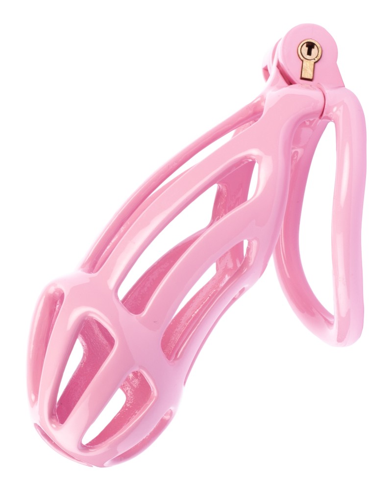 Cage de chasteté Netty XXL 11 x 4cm Rose Cage de chasteté Netty XXL 11 x 4cm Rose