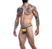 Slip sexy Briefkini Rainbow