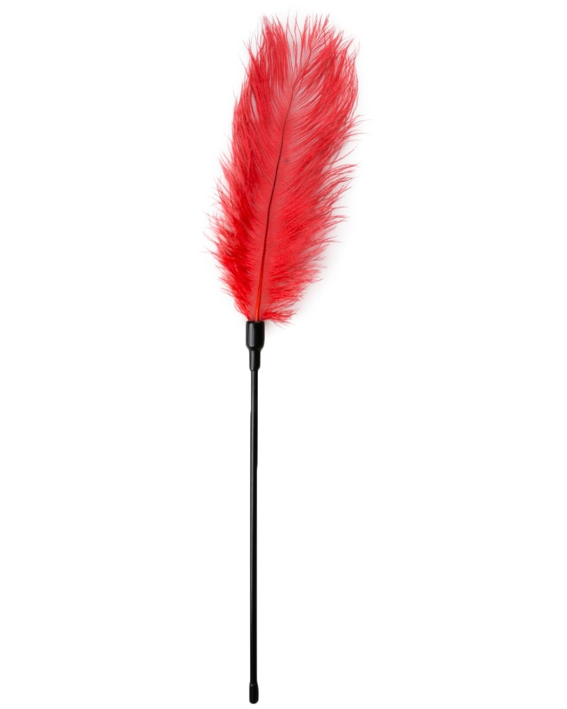 Plumeau Teasing Rouge 56cm Plumeau Teasing Rouge 56cm