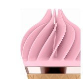 Stimulateur clitoridien Sweet Treat Rose Stimulateur clitoridien Sweet Treat Rose