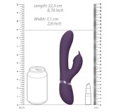Vibro Rabbit Aimi Vive 22xm Violet Vibro Rabbit Aimi Vive 22xm Violet