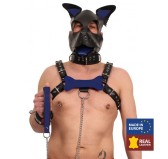 PUPPY OS  EN CUIR BLEU