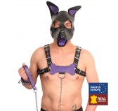 PUPPY OS  EN CUIR VIOLET