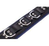 Collier rembourré en cuir 3 Anneaux D Bleu Collier rembourré en cuir 3 Anneaux D Bleu