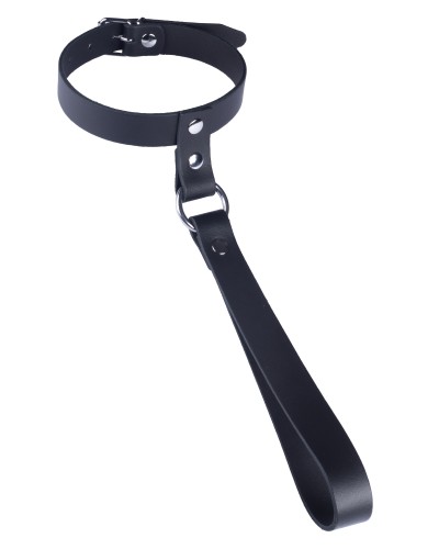 Collier en cuir avec Laisse courte