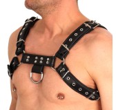 Harnais en cuir Noir Harnais en cuir Noir