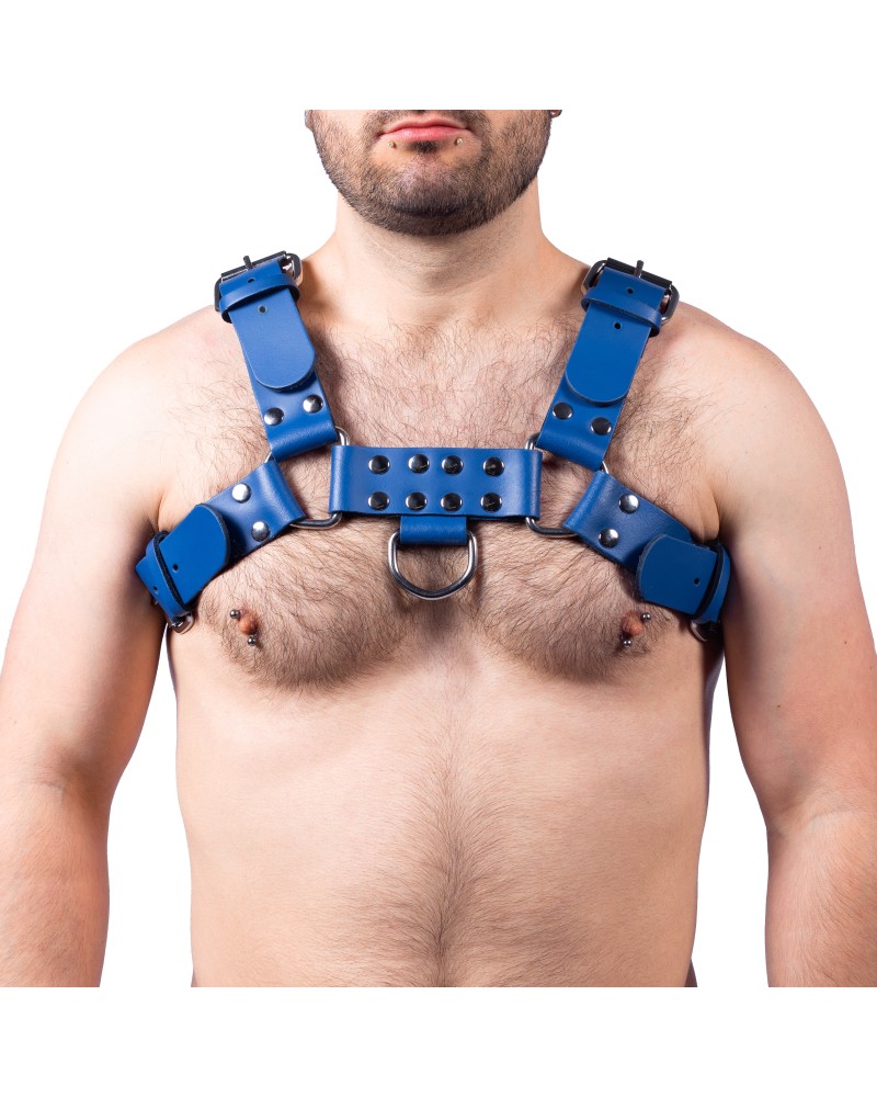 Harnais en cuir Buckle Bleu Harnais en cuir Buckle Bleu