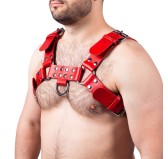 Harnais en cuir Buckle Rouge Harnais en cuir Buckle Rouge