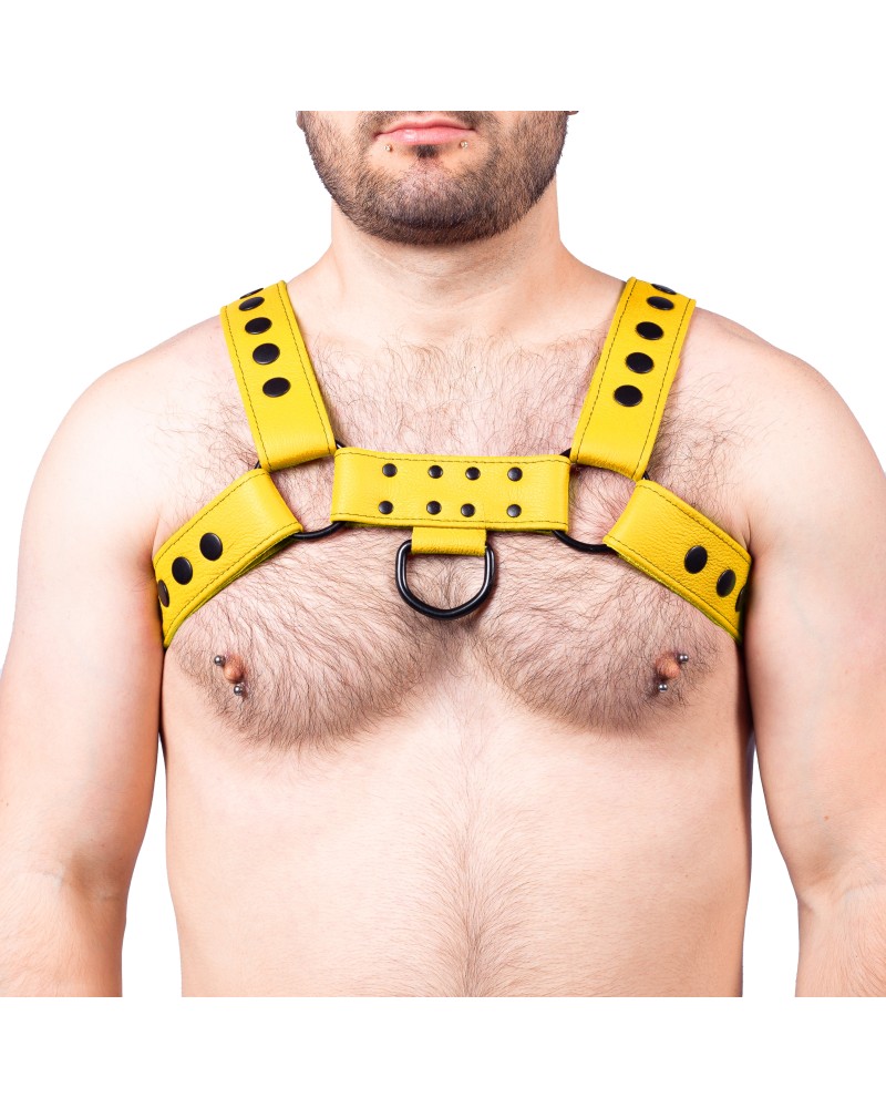 Harnais en cuir Snap Jaune Harnais en cuir Snap Jaune