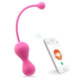 Boules de geisha connectées Kegel Master 8 x 3.4 cm Boules de geisha connectées Kegel Master 8 x 3.4 cm