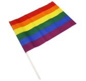 Drapeau Rainbow avec manche 30 x 43cm