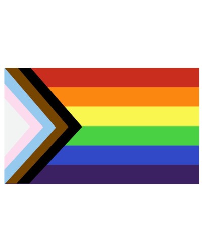 Drapeau LGBT+ 60 x 90cm