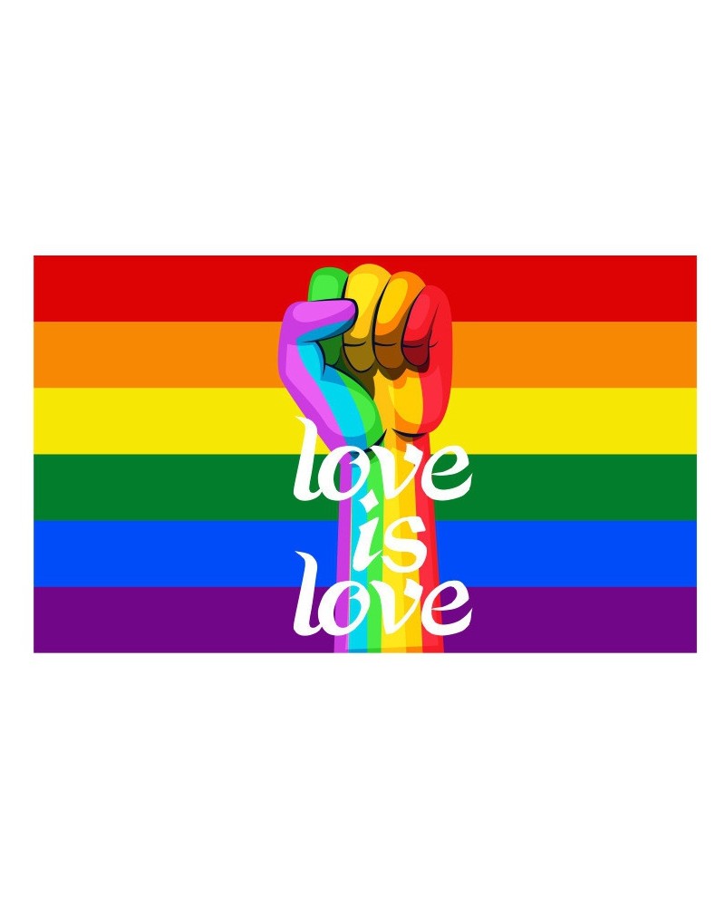 Drapeau Rainbow Love is Love 90 x 150cm