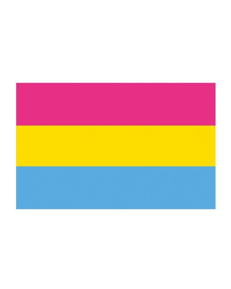 Drapeau Pansexuel 60 x 90cm