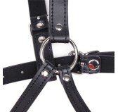 Baillon SM Lips et Harnais Baillon SM Lips et Harnais
