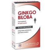 Ginkgo Biloba 60 gélules