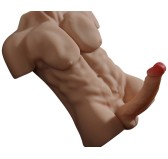 Masturbateur Buste et Pénis articulé Torso Man Sexe de 20cm