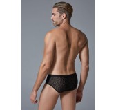 Shorty Dentelle Leopard Allure Noir