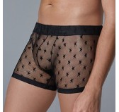 Boxer long fin Star Allure Noir