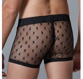 Boxer long fin Star Allure Noir