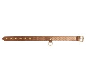 Collier et laisse Darling Pet Bronze 1m Collier et laisse Darling Pet Bronze 1m