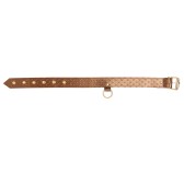 Collier et laisse Darling Pet Bronze 1m