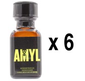 Poppers Amyl 24mL x6