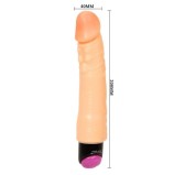 Gode vibrant Vibe Baile 20 x 4cm Gode vibrant Vibe Baile 20 x 4cm