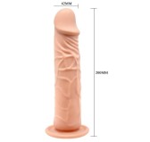 Gode ventouse Baile Calvin 18 x 4cm Gode ventouse Baile Calvin 18 x 4cm