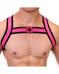 Harnais élastique Colin Orange