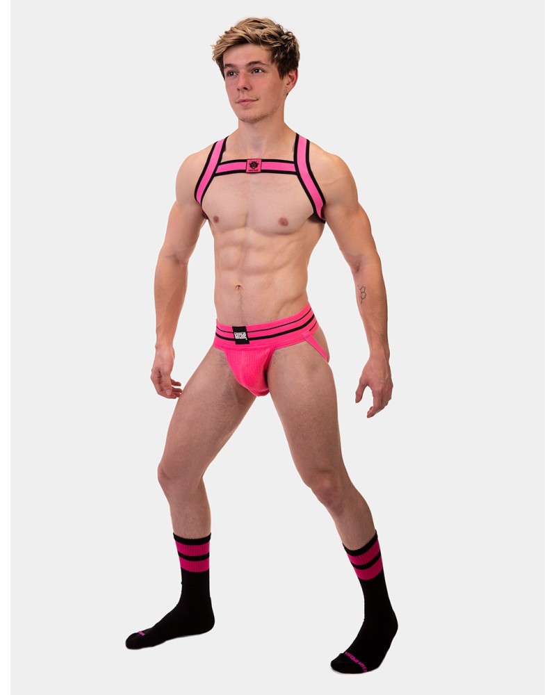 Harnais élastique Colin Rose