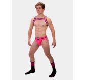 Harnais élastique Colin Rose Harnais élastique Colin Rose