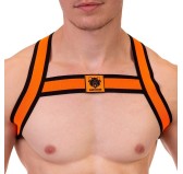 Harnais élastique Colin Orange