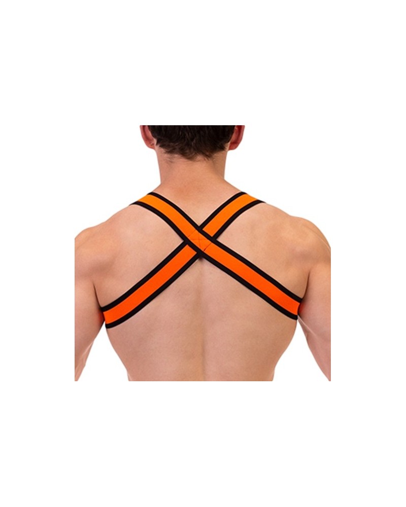 Harnais élastique Colin Orange