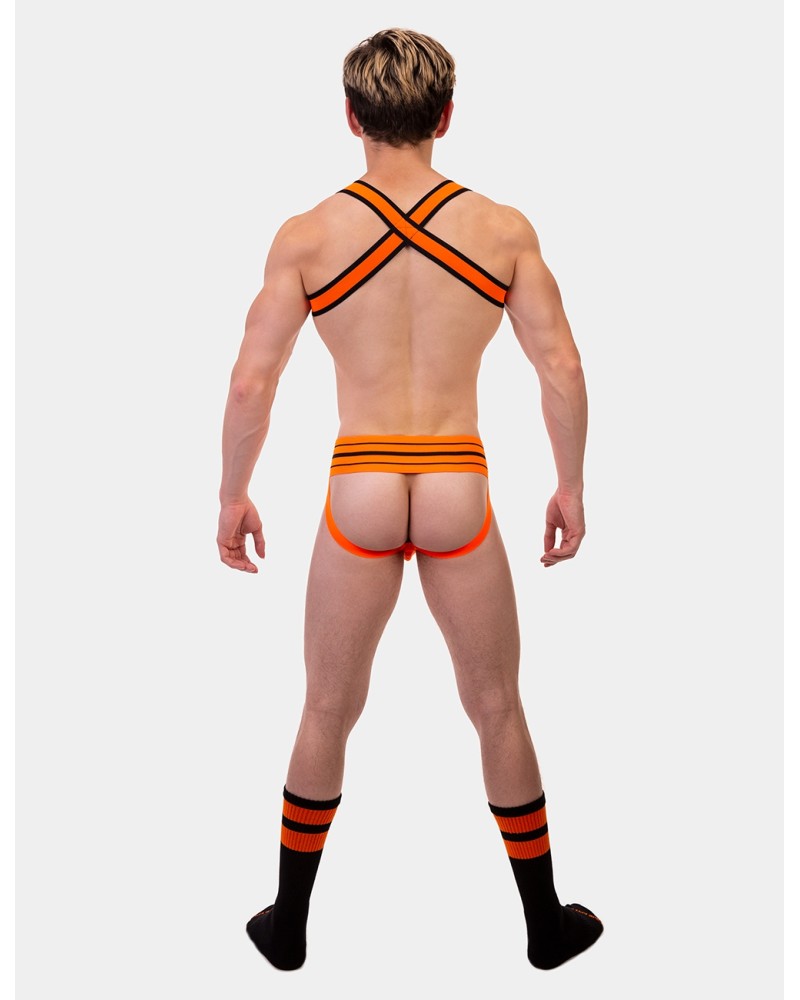 Harnais élastique Colin Orange