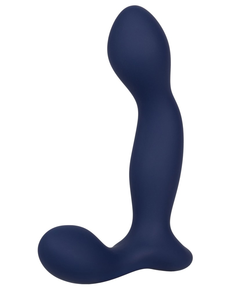Stimulateur de prostate Expert Probe Viceroy 10 x 2.5cm Stimulateur de prostate Expert Probe Viceroy 10 x 2.5cm