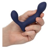 Stimulateur de prostate Expert Probe Viceroy 10 x 2.5cm