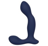 Stimulateur de prostate Expert Probe Viceroy 10 x 2.5cm