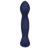 Stimulateur de prostate Expert Probe Viceroy 10 x 2.5cm