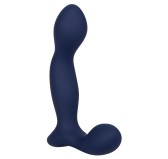 Stimulateur de prostate Expert Probe Viceroy 10 x 2.5cm