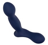 Stimulateur de prostate Expert Probe Viceroy 10 x 2.5cm