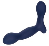 Stimulateur de prostate Expert Probe Viceroy 10 x 2.5cm