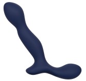 Stimulateur de prostate Expert Probe Viceroy 10 x 2.5cm