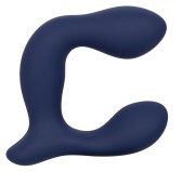 Stimulateur de prostate Expert Probe Viceroy 10 x 2.5cm Stimulateur de prostate Expert Probe Viceroy 10 x 2.5cm