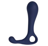 Stimulateur de prostate Direct Probe Viceroy 8 x 3cm