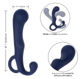 Stimulateur de prostate Agility Probe Viceroy 9 x 3cm